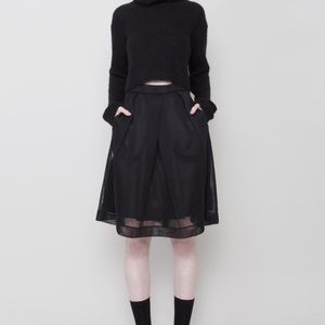 Black A-Line Midi Skirt with Mesh Trim